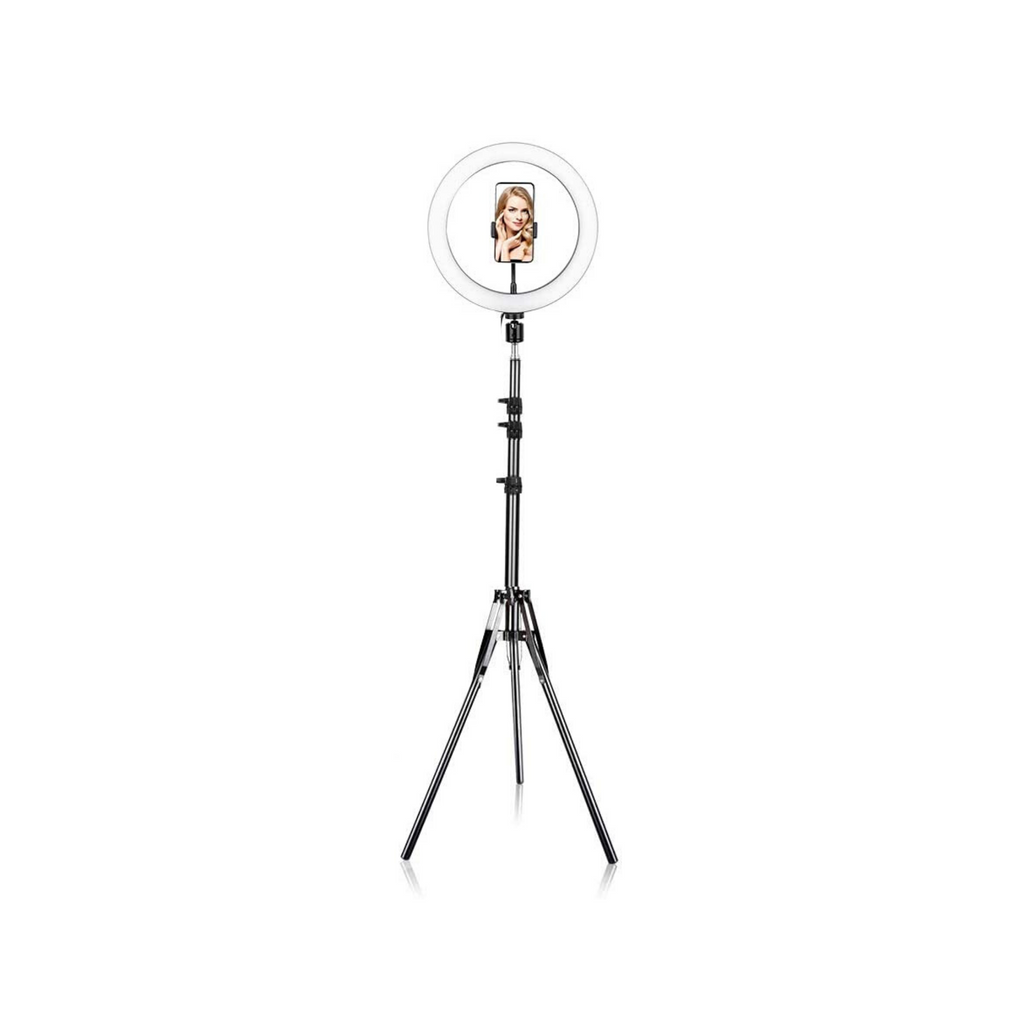 22 Inch Selfie Led Ring Light With Cell Phone Holder Without Tripod Stand  at Rs 3000/piece | Rajouri Garden | New Delhi | ID: 24235762062